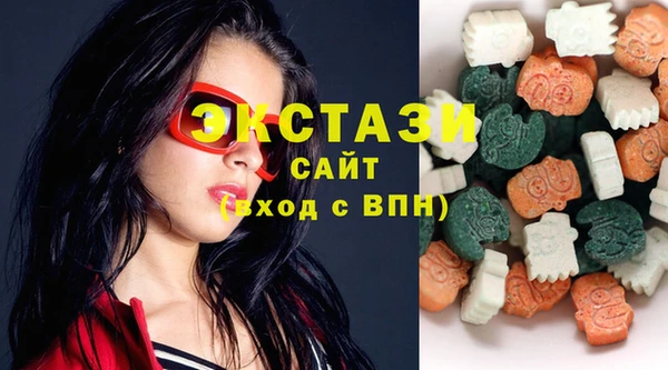 ECSTASY Бородино